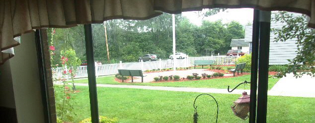 Residential Window