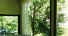 Window repair 1