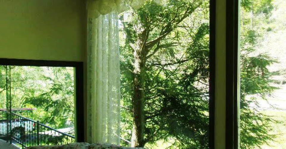 Window repair 1